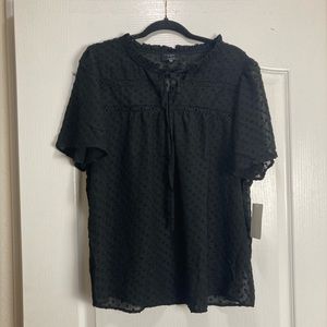 Flower and Feather Short Sleeve Eyelet Babydoll Sheer Top , size 2XL,Black